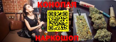 гидропоника Пугачёв