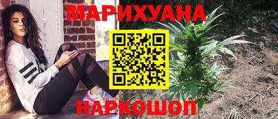 гидропоника Пугачёв