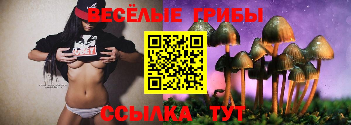 Сертолово  Псилоцибиновые грибы MAGIC MUSHROOMS  Вход с VPN 